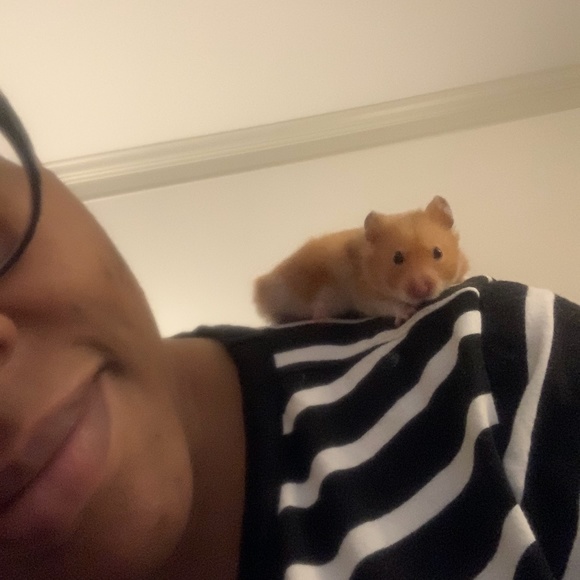 Meet your Posher, Tamieko - Picture 4 of 6